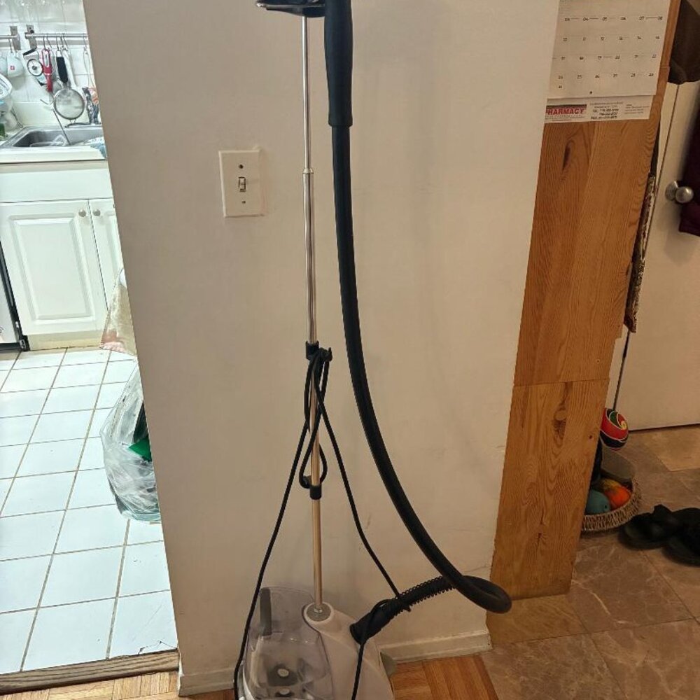 Rowenta Commercial Vertical Steamer